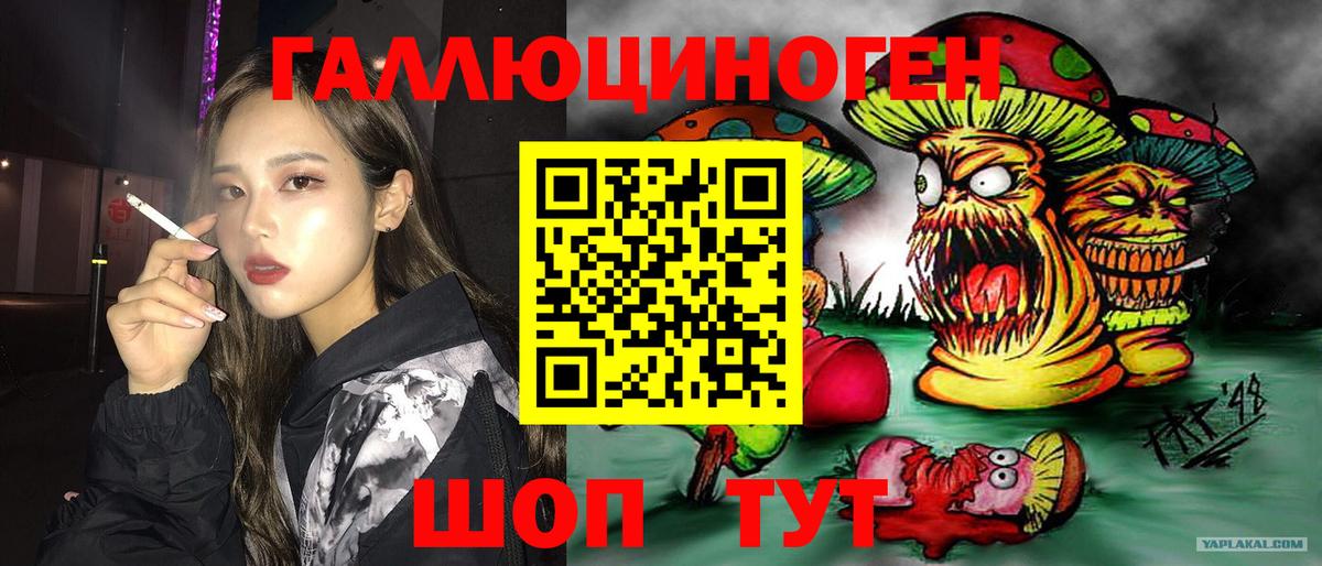 Чайковский  Галлюциногенные грибы ЛСД  Вход с VPN 