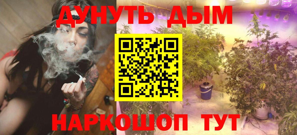 Чайковский  Конопля планчик  Каннабис Ganja  Вход с VPN  Каннабис VHQ 